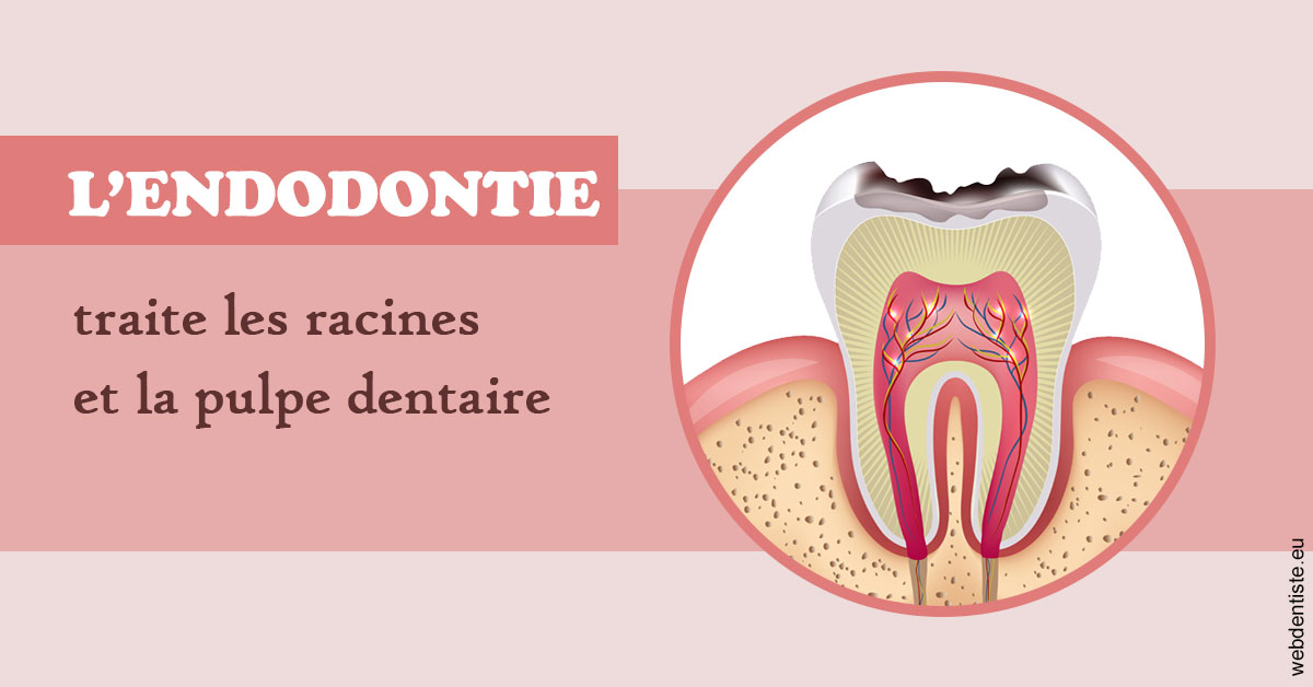 https://dr-langlade-philippe.chirurgiens-dentistes.fr/L'endodontie 2