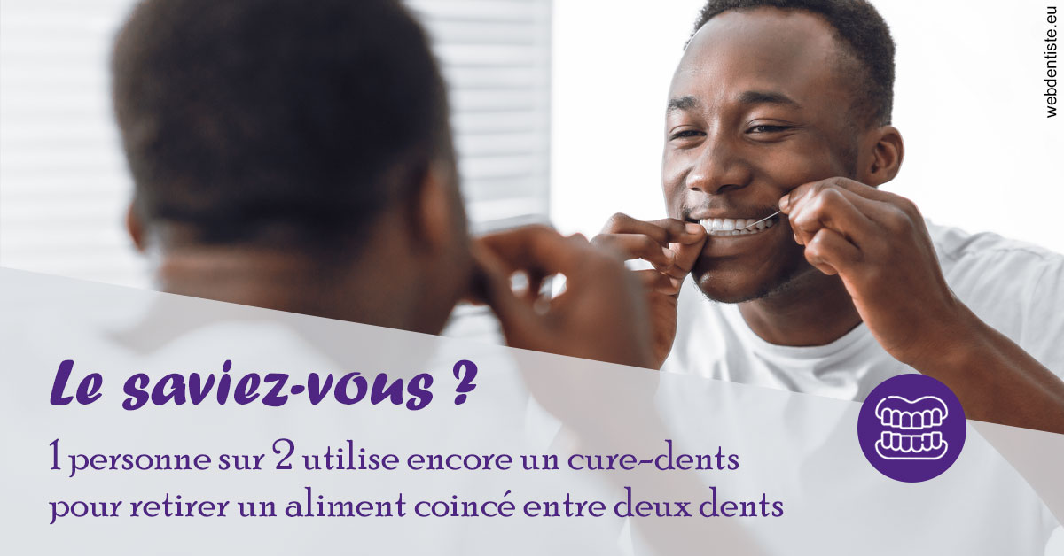 https://dr-langlade-philippe.chirurgiens-dentistes.fr/Cure-dents 2
