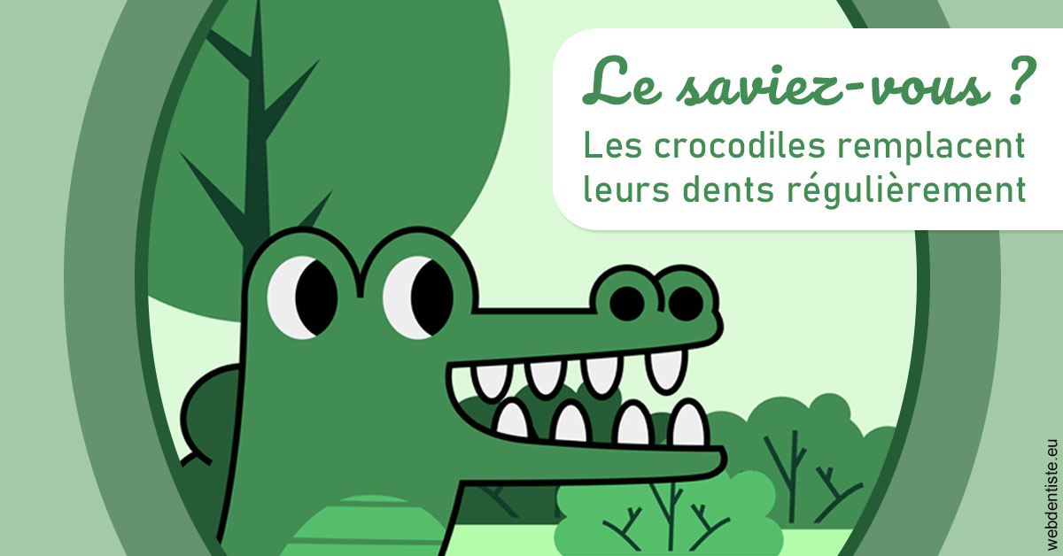 https://dr-langlade-philippe.chirurgiens-dentistes.fr/Crocodiles 2