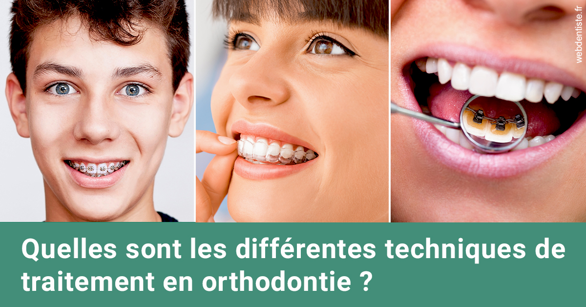 https://dr-langlade-philippe.chirurgiens-dentistes.fr/Les différentes techniques de traitement 2